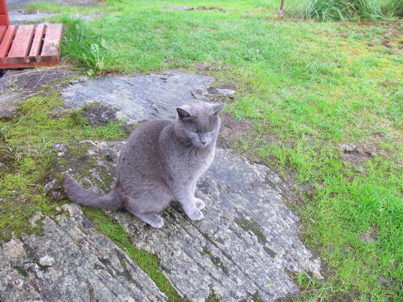 Besuch am  haus ! alle jahre wieder