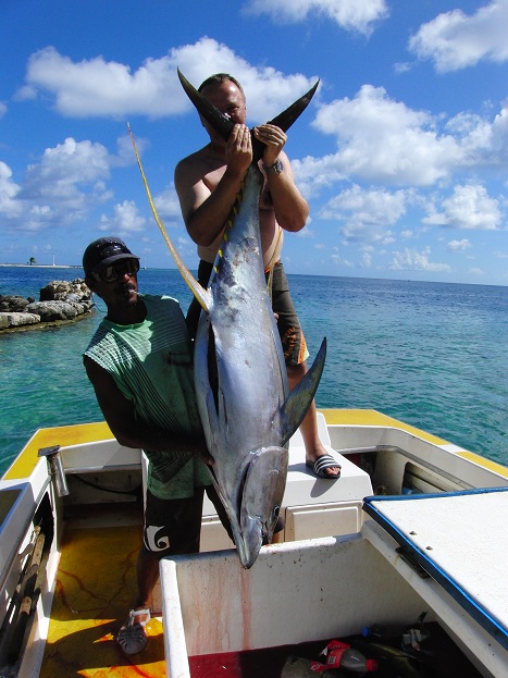 BIG Yellowfintuna