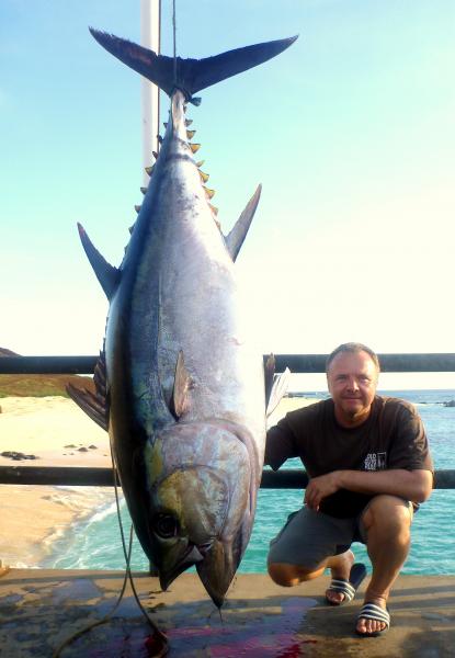 Bigeye Tuna