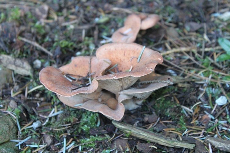 bild 3[1]