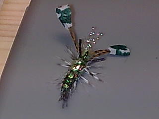 Bild041 (3)