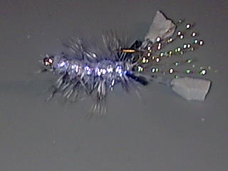 Bild061 (3)