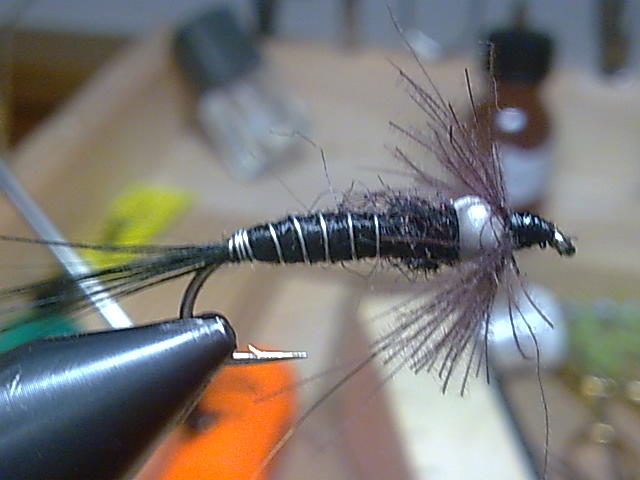 Bild093
Name : La Brite
8 Hayabusa Nympfenhaken
sehr schwer