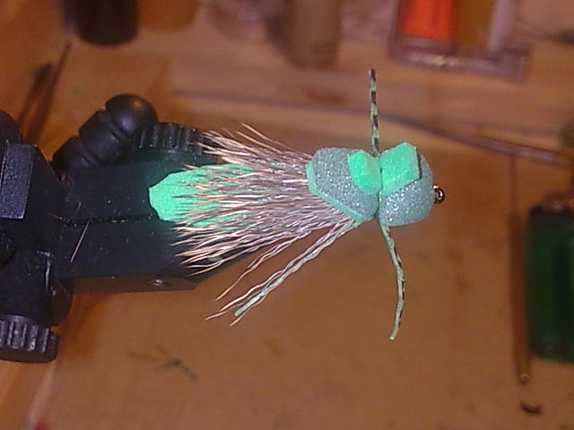 Bild098 (4)