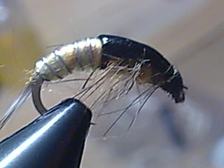 Bild102
Hayabusa CZ Nympfenhaken 10