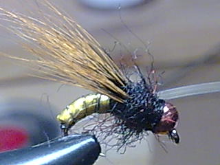 Bild115