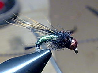 Bild117