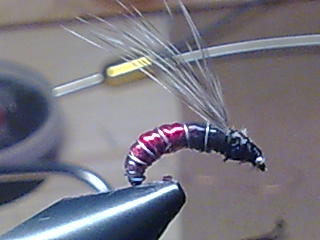 Bild118