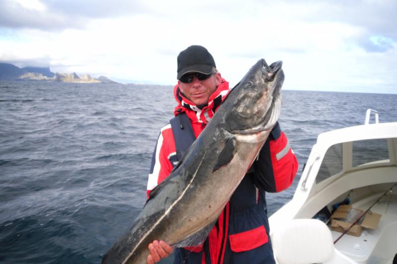 Bützow mit Seelachs - 1,21m