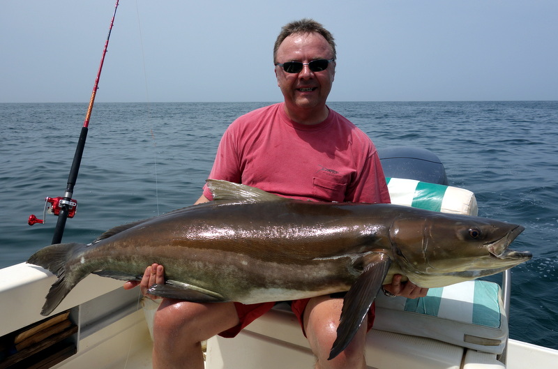 Cobia 45kg /177cm!