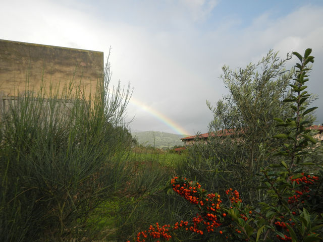 Coghinas098