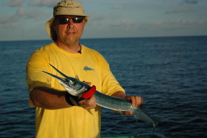 crocodile Houndsfish