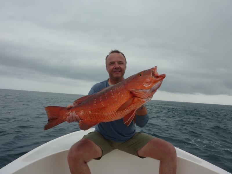 Cubera Snapper