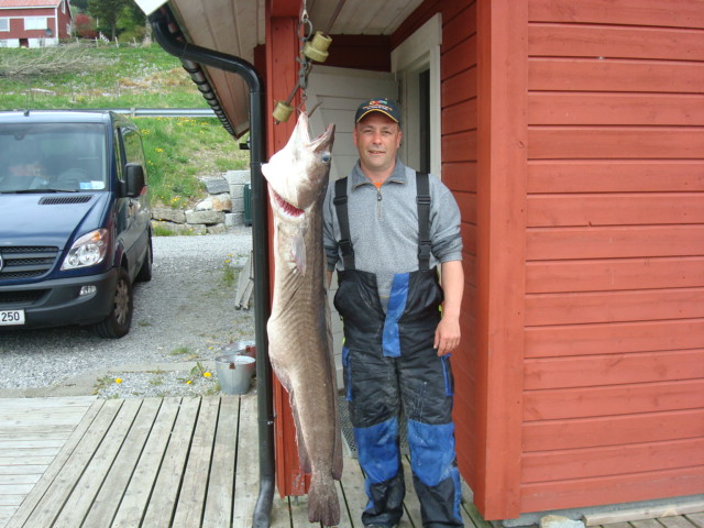 Der Fisch der Tour:164cm/26kg