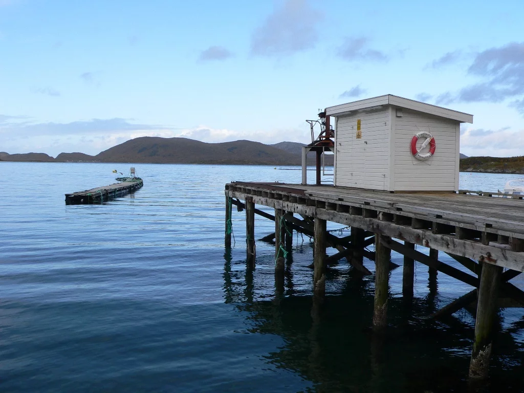 Die Bucht bei Sandneshamn , Bogebukta vor dem Haus