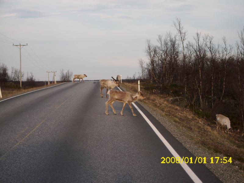Die gehören dazu......