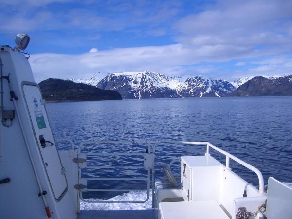 Die kleine Fähre in Burfjord