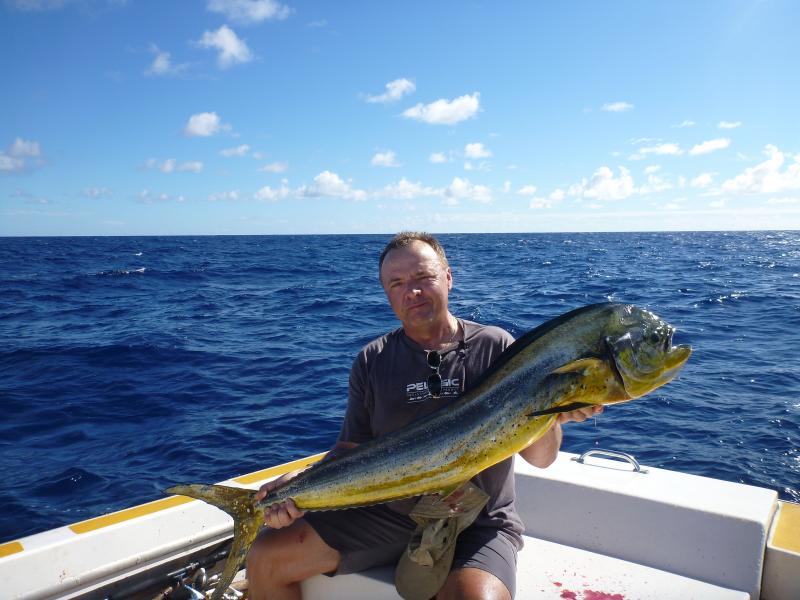 dolphinfish female