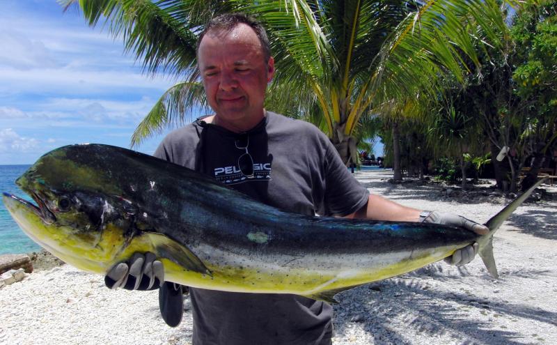 dolphinfish male