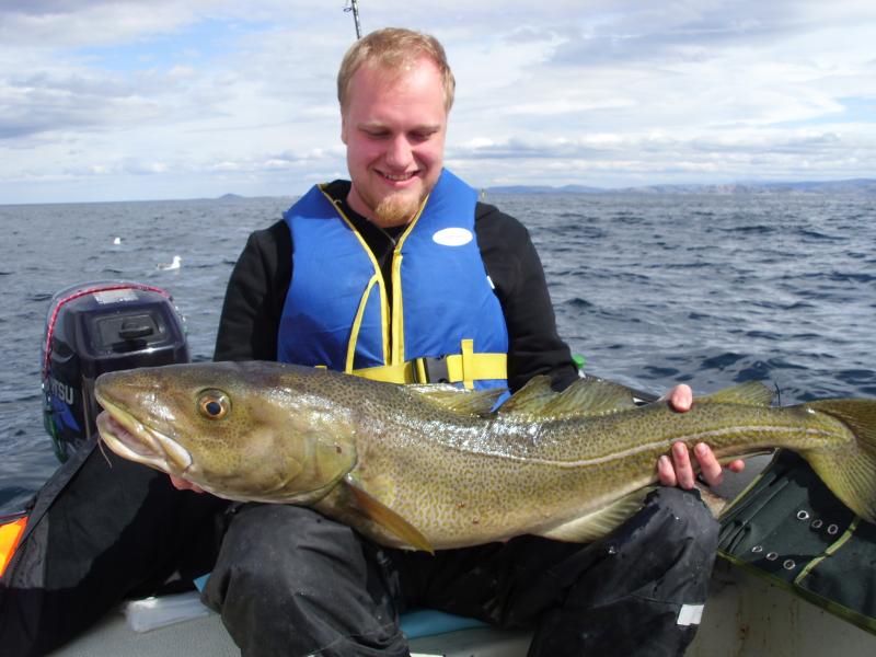 Dorsch 10kg/110cm
