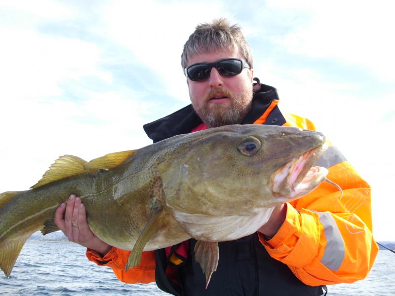 Dorsch 10kg