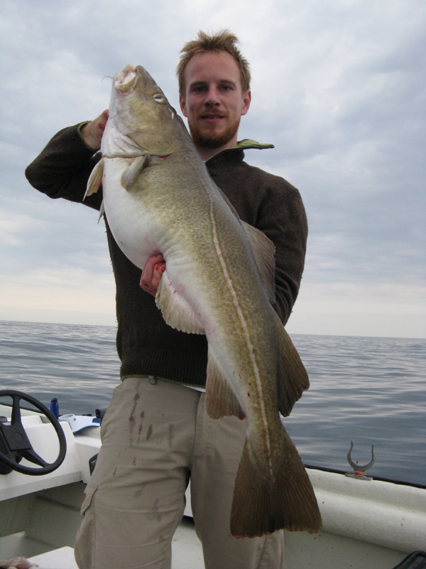 Dorsch 12,9 kg