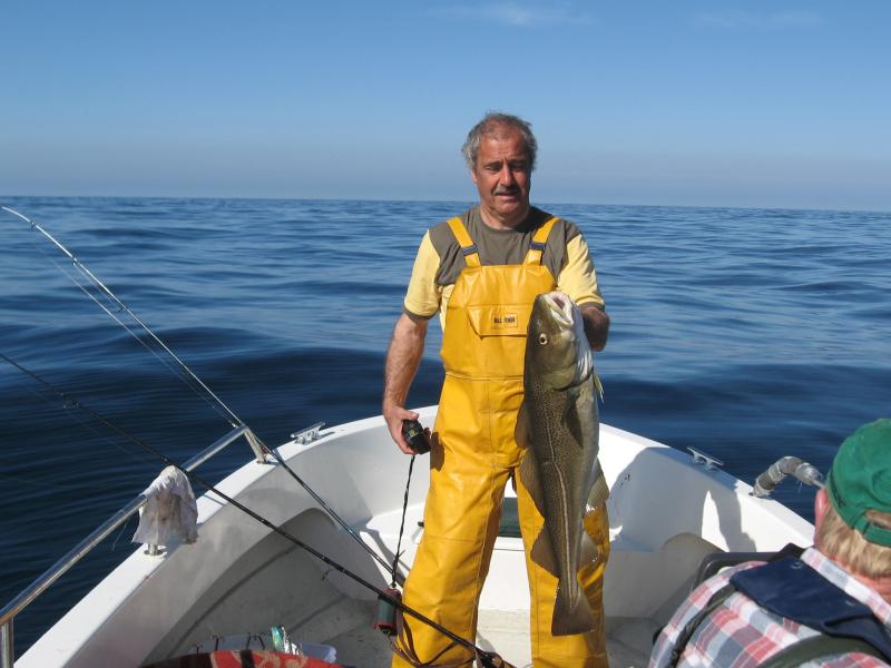 Dorsch 6 KG