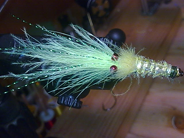 Draufsicht Shrimp