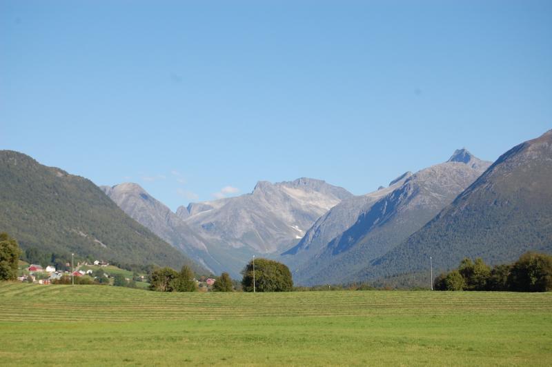 DSC 0065