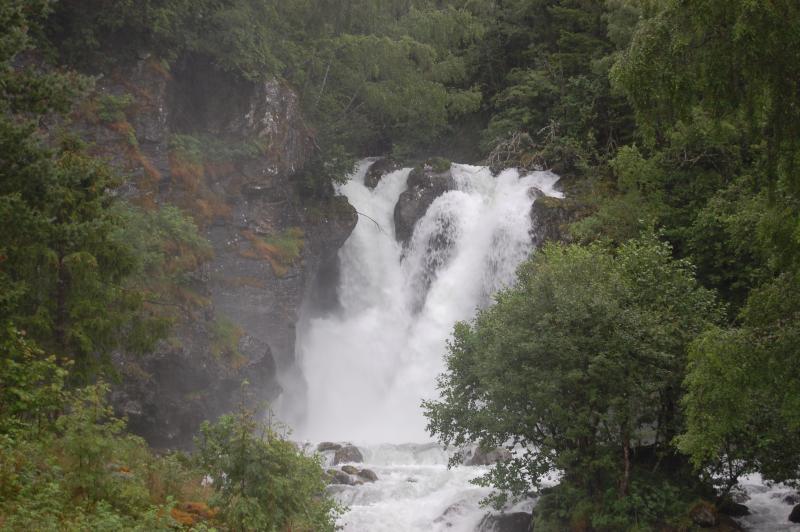 DSC 0351