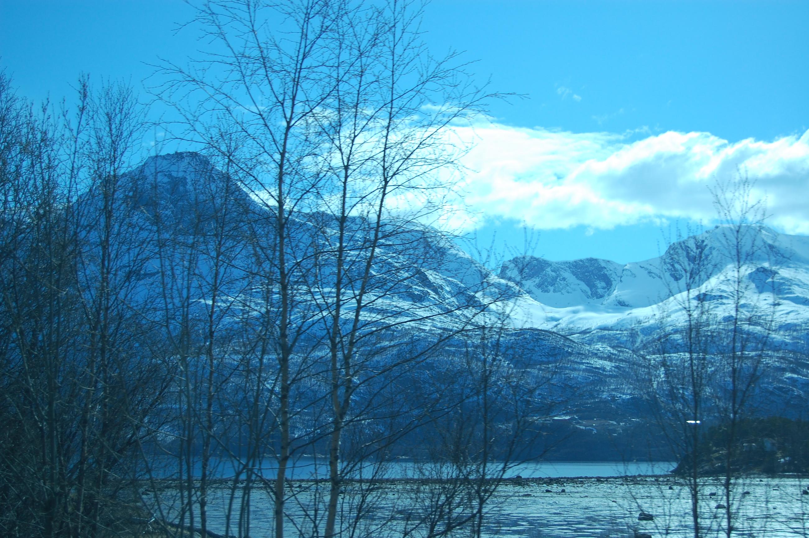 DSC 0391
