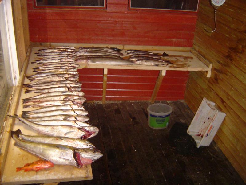 DSC01399