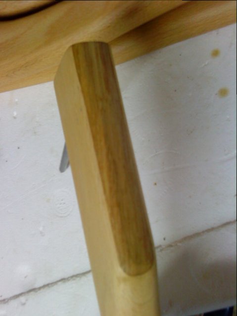 DSC02509
Buche mit Eiche