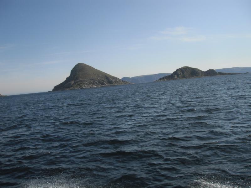 DSCF0114