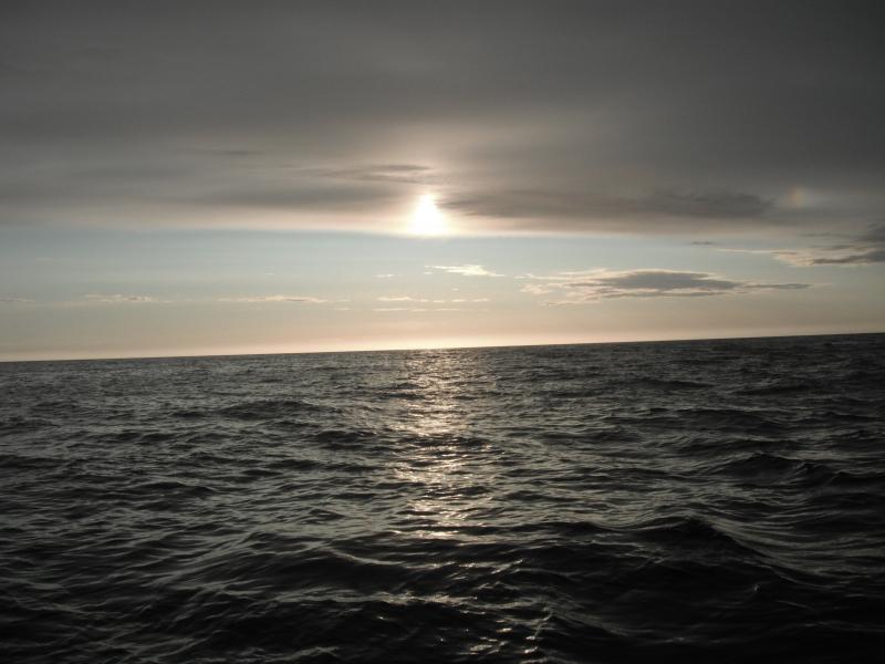 DSCF0151