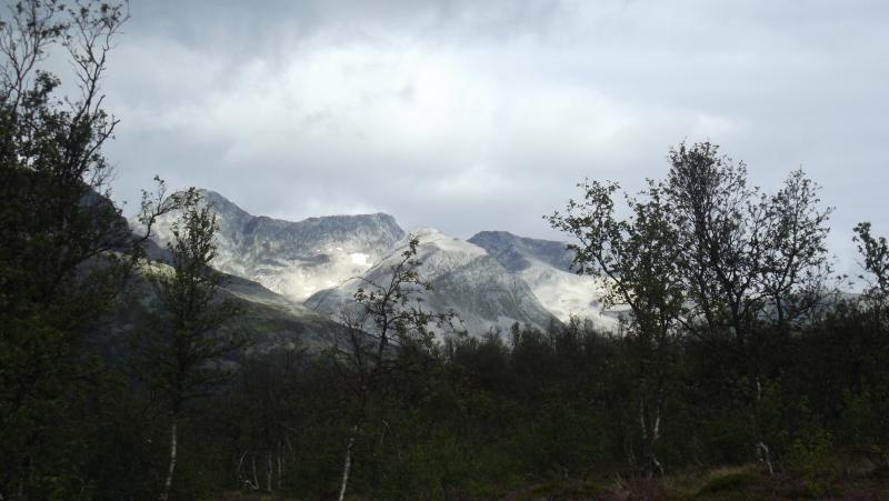 DSCF0813