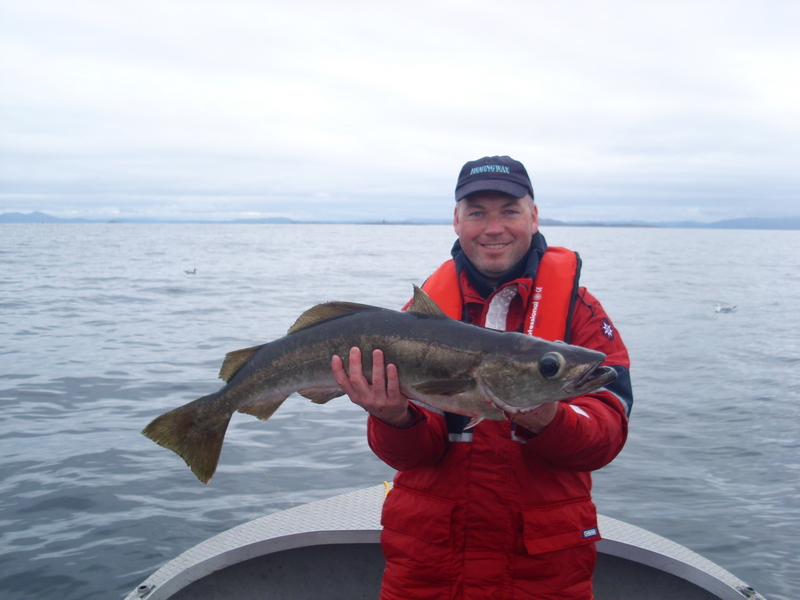 Ein Siegerfisch- Pollack über 5 kg
