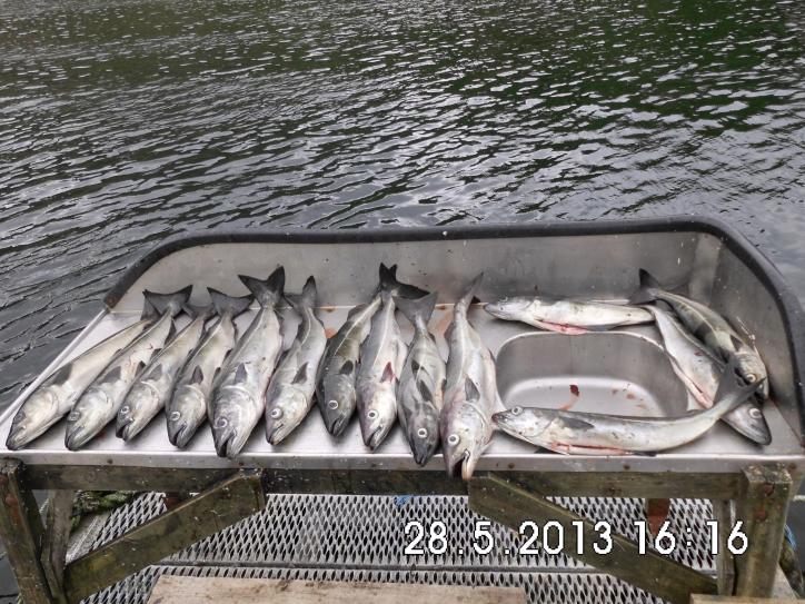 erfolgreich nach 3 stunden