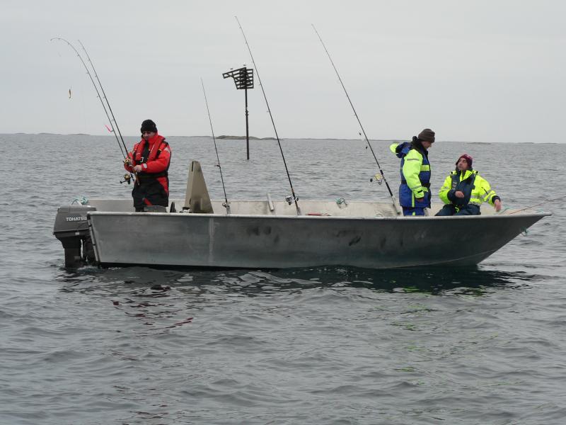 Fehlerbild2 original