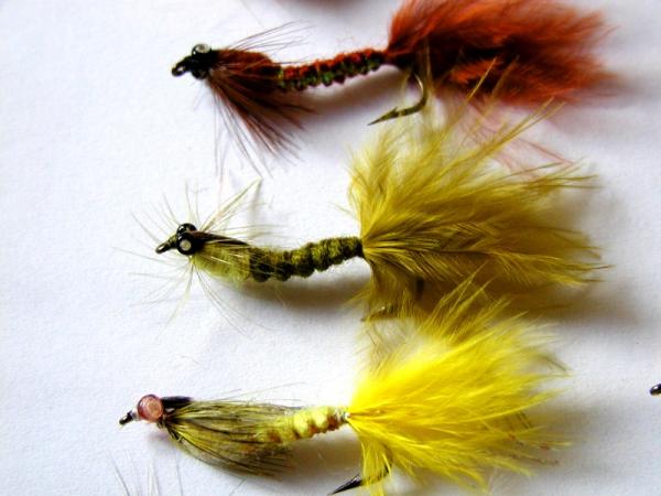 Fliegen 002