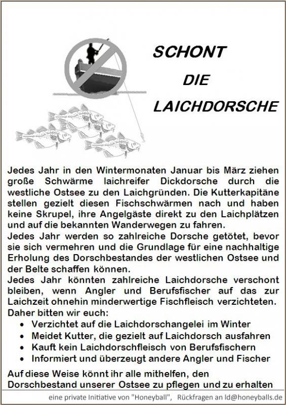 flugblatt