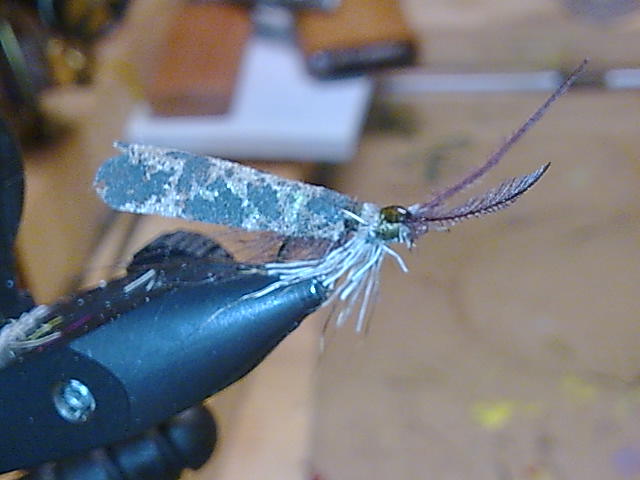 Foam Body Sedge