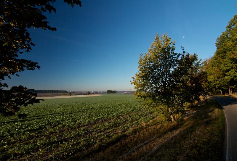 frühaufsteher4