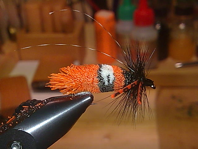 Funny Fly Sedge
