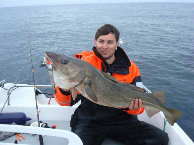 Gastangler mit dickem Dorsch