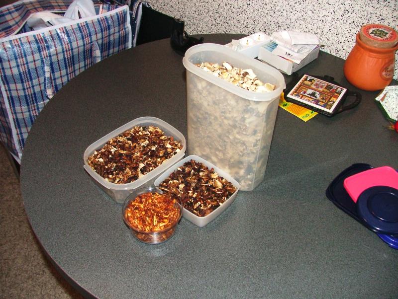 Getrocknete Pilze aus Norge