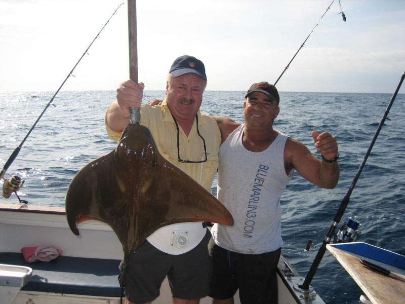 Gran Canaria 2006
Rochen... Vorsicht vor dem Stachel
Rochen werden nach Photo released