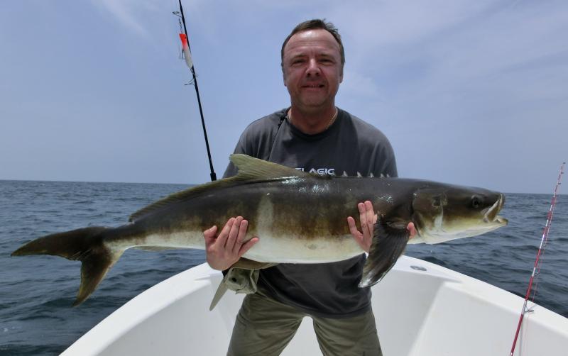 Guinea Bissau Bijagos Acunda   Cobia length World Record