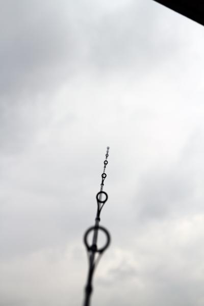IMG 0863