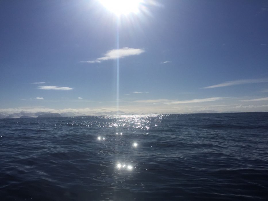 IMG-20170422-WA0017